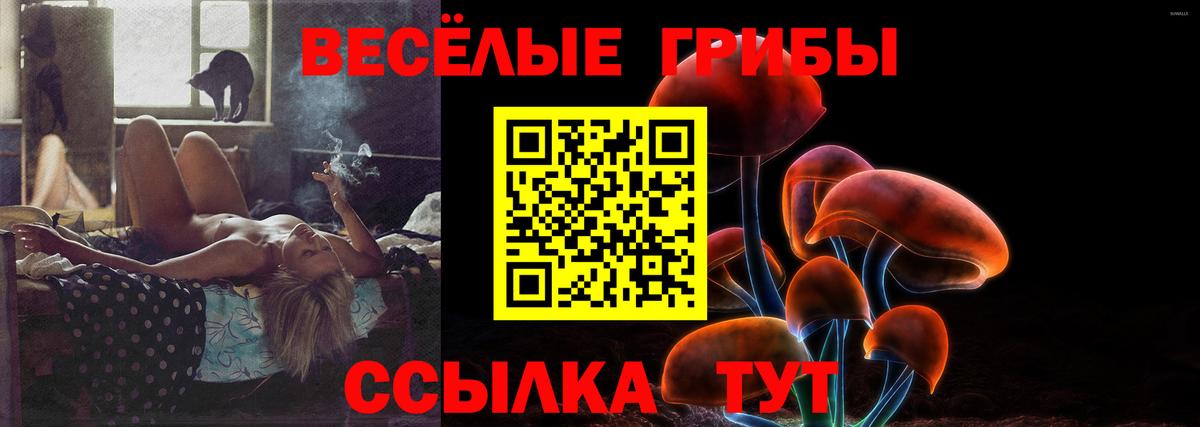 Псилоцибиновые грибы прущие грибы Тихорецк